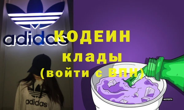 шишки Михайловск
