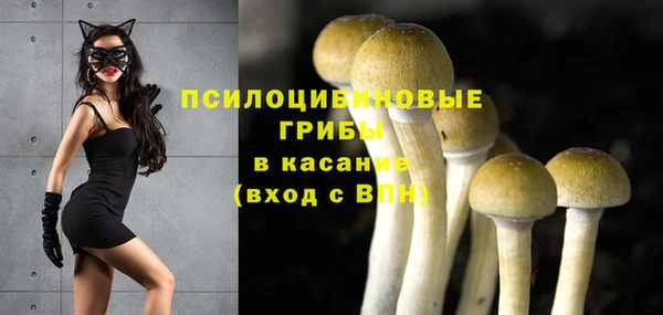 гашик Медвежьегорск