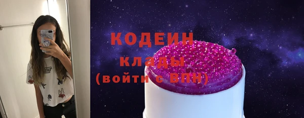 шишки Михайловск