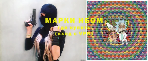 шишки Михайловск