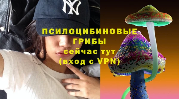 шишки Михайловск