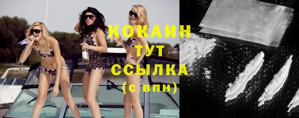 сатива Михайлов