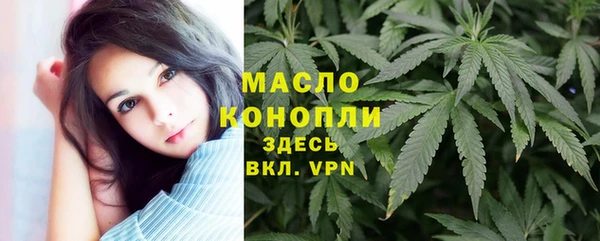 сатива Михайлов