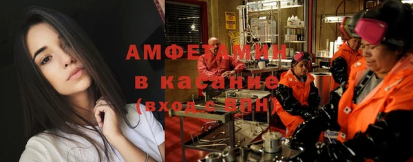 шишки Михайловск