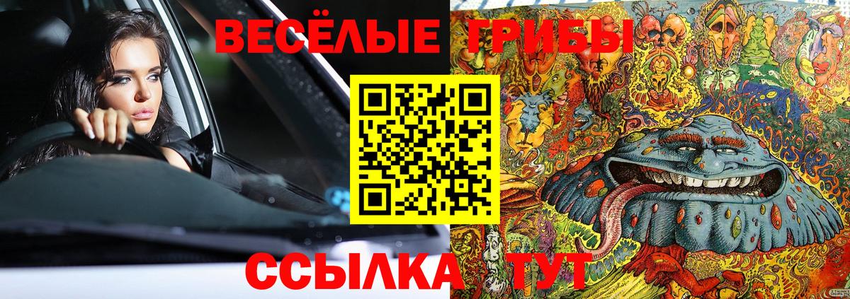 Вейп ТГК  Гашиш  NBOMe  Мяу-Мяу  ГАШ  Михайловск  КОКАИН  Вход с VPN  A-PVP  МДМА  МЕФ 