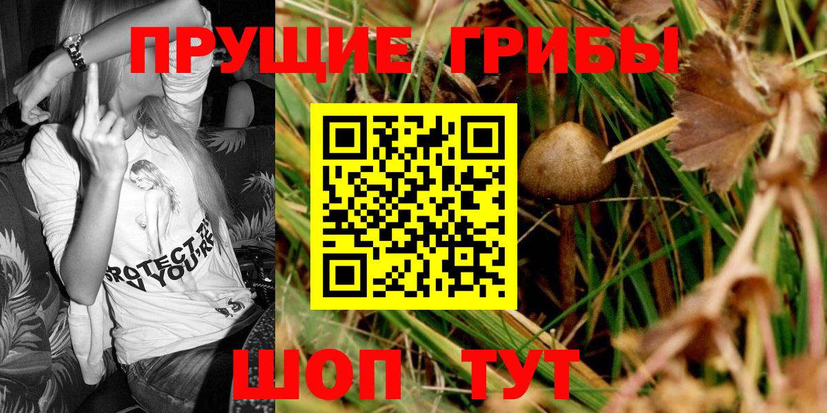 Галлюциногенные грибы MAGIC MUSHROOMS  наркотики  Вход с VPN  Михайловск  Псилоцибиновые грибы мухоморы 